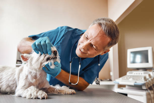 Best Emergency Dentist for Special Needs Patients in Shelbyville, TN